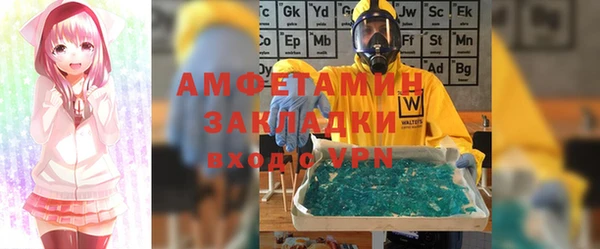 крисы Богородицк