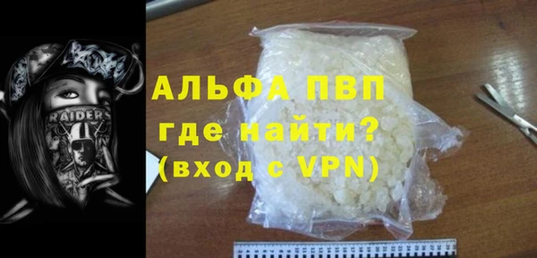 молекула духа Богданович