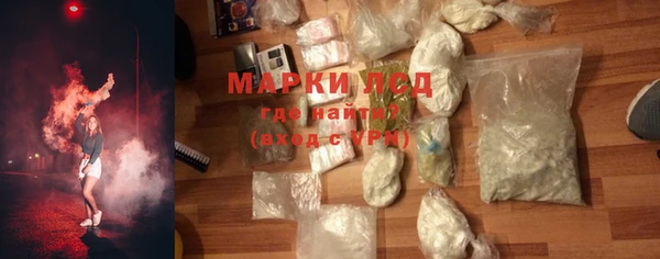 молекула духа Богданович