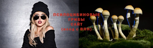 молекула духа Богданович