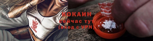 крисы Богородицк