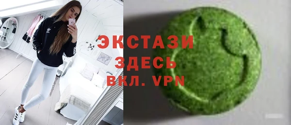 крисы Богородицк