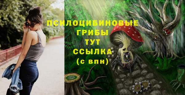 молекула духа Богданович