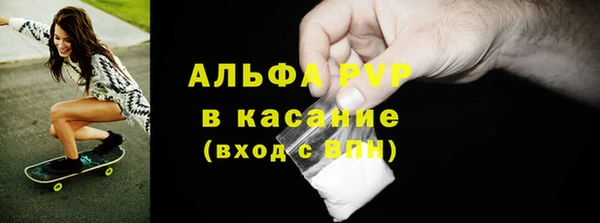 молекула духа Богданович