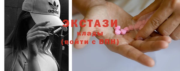 молекула духа Богданович