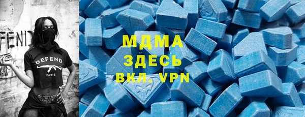 молекула духа Богданович