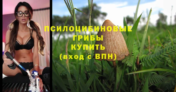 крисы Богородицк