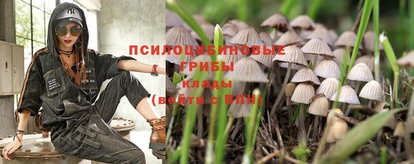 крисы Богородицк