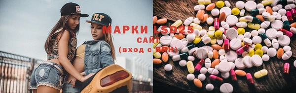 молекула духа Богданович
