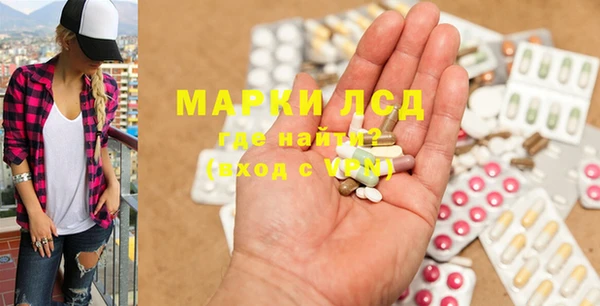 молекула духа Богданович