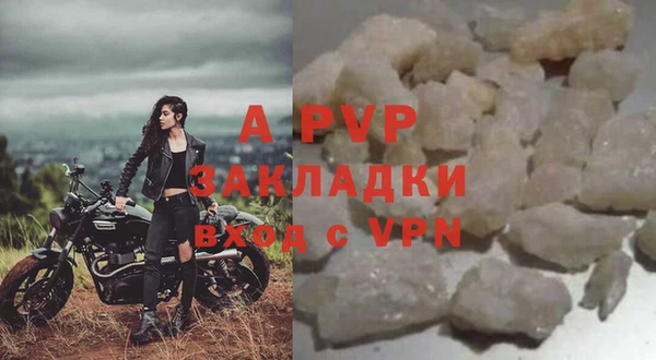 молекула духа Богданович