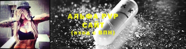 крисы Богородицк